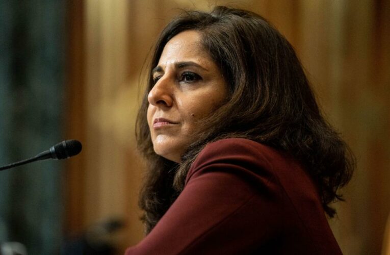 Key committee votes postponed in troubling sign for Tanden nomination
