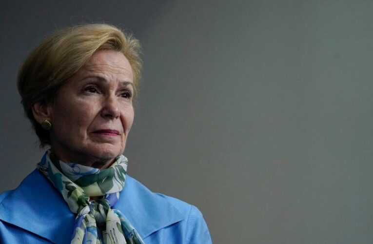 Dr. Deborah Birx tells Dr. Sanjay Gupta that hundreds of thousands of people didn’t have to die if the US had done more sooner