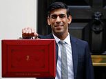 BUDGET 2021 AT A GLANCE: The key points from Chancellor Rishi Sunak’s speech&nbsp;