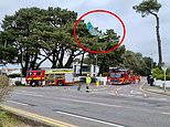Kite surfer is rescued from TREE by emergency services in Sandbanks in Dorset