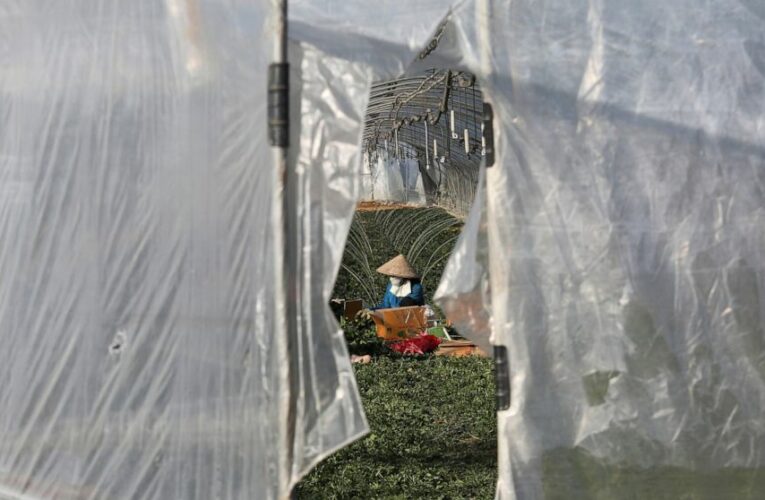 Migrant workers face dire conditions at South Korean farms