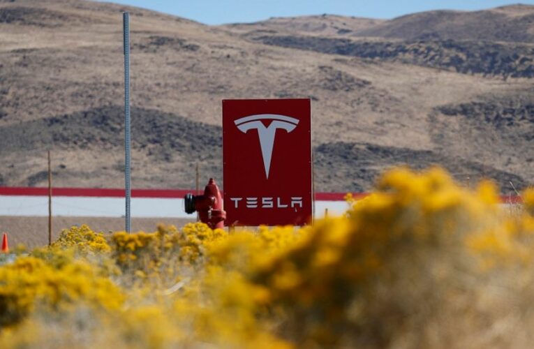 Russian man admits ransomware plot against Tesla