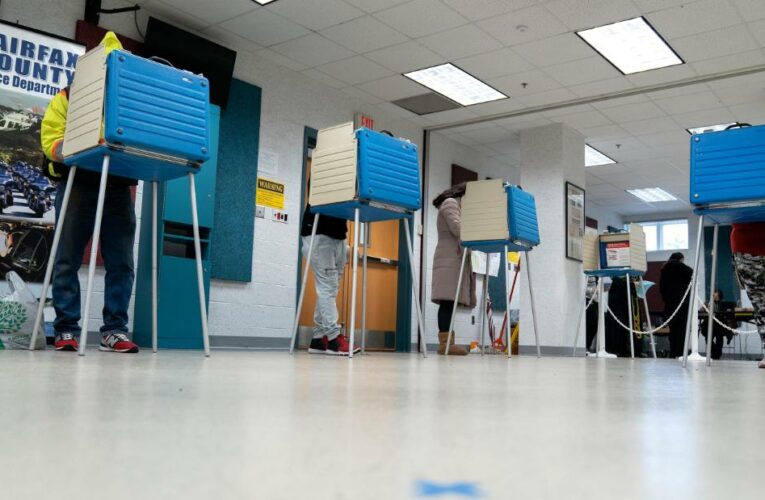 Democratic-led states expand voting rights amid GOP push to restrict access