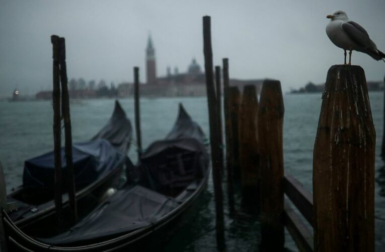 Groups: Venice lagoon still at risk after cruise ship decree