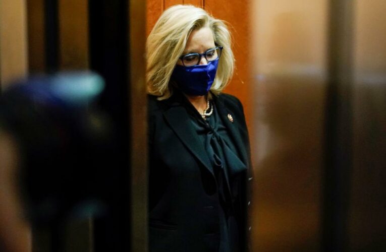 Liz Cheney plots her long game against Donald Trump