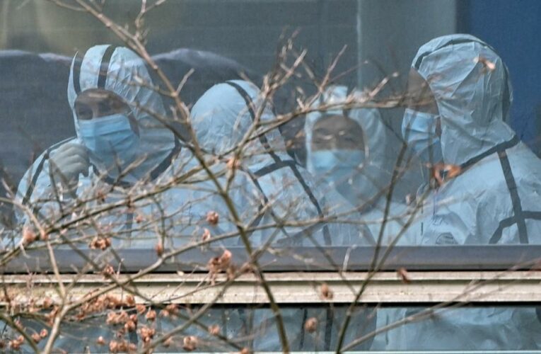 WHO coronavirus investigators pinpoint overlooked Chinese data for further study, source says