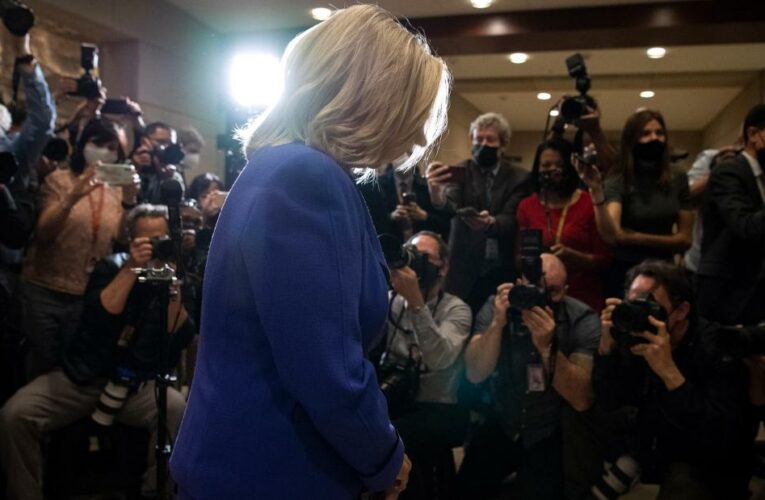 Opinion: Why Cheney got fired