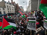 DAN HODGES: Labour cares more about Palestinians than Red Wall voters
