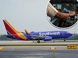 Southwest Airlines captain given probation for exposing his genitals and watching porn