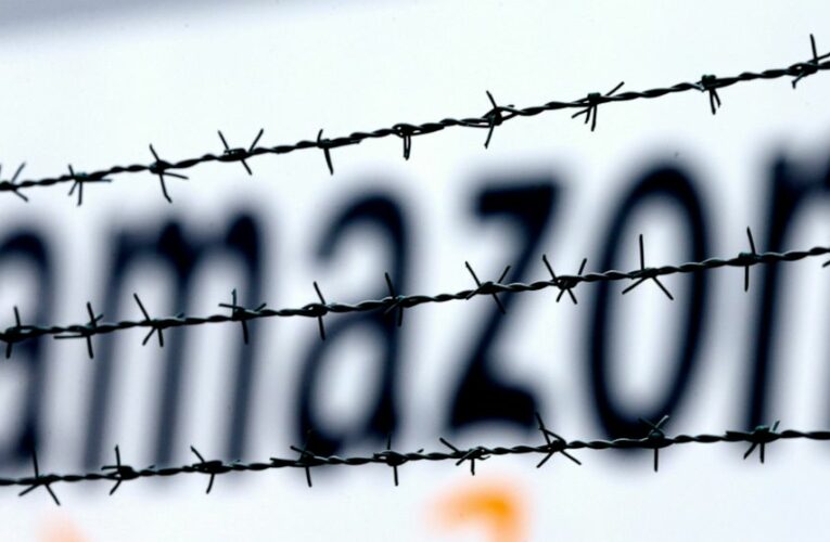 Amazon wins EU court fight over $300 million tax ruling