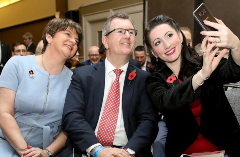 N Ireland’s main unionist party picks traditionalist leader