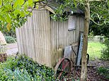 Sheep farmer loses out on 6ft dilapidated shepherd’s hut – to wealthy Londoner who paid £16,000
