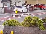 Horrifying footage reveals moment drunk driver ploughs into OnlyFans model walking her dog