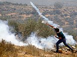 Israel-Gaza: Violence in West Bank during protest over Jewish settlements two weeks after ceasefire