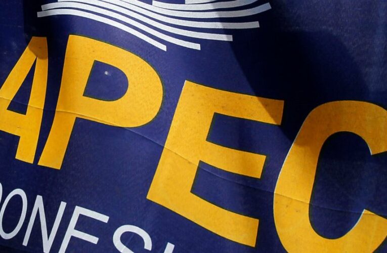 Asia-Pacific trade ministers mull pandemic, recovery