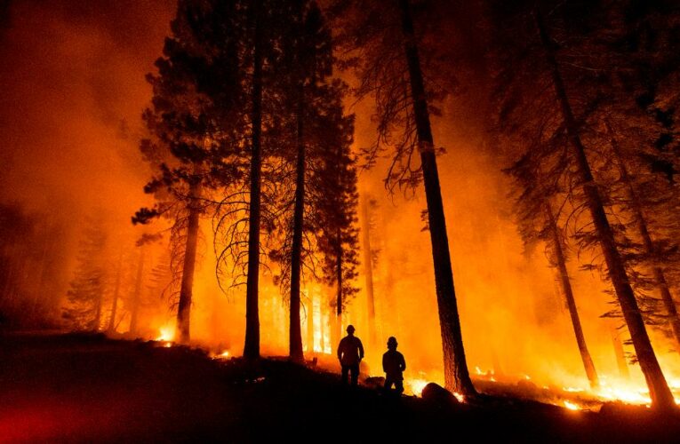 First on CNN: President Biden to meet with 7 governors Friday to discuss devastating wildfires