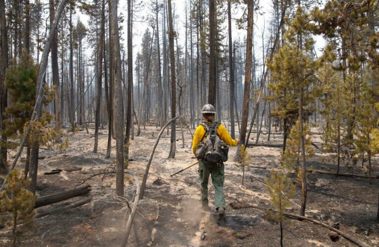 In pictures: Wildfires raging in the West