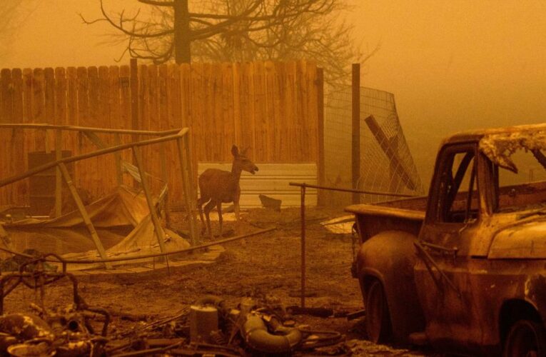 Thousands of California residents are ordered to evacuate as the Dixie Fire nears 500,000 acres
