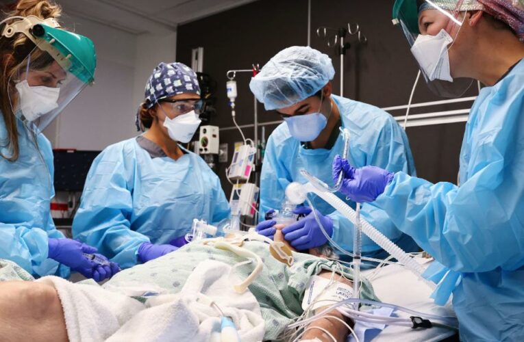 These 8 states make up half of US Covid-19 hospitalizations