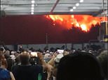 Evacuated Greek locals watch in horror as wildfires tear through their paradise island home of Evia