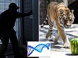 British scientists find rare wildlife DNA in AIR – and technique could be used to find criminals