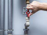Broadband is set to be pumped into homes through the WATER pipes