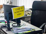 LUKE JOHNSON: Home workers may find their job outsourced to India