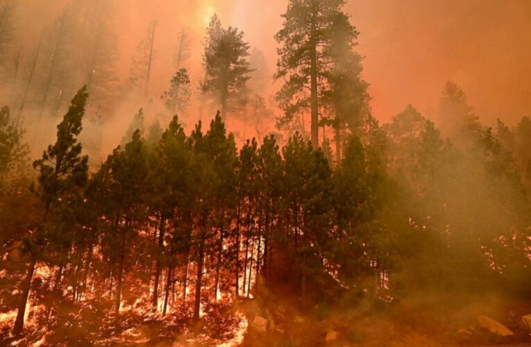 Lake Tahoe prepares for emergency as wildfire threatens