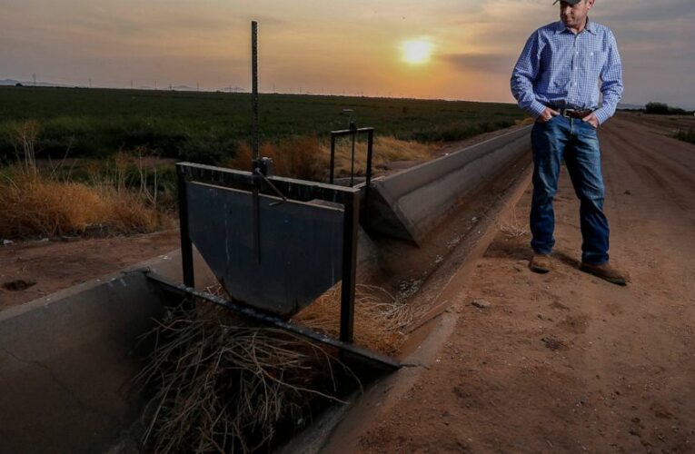 First water cuts in US West supply to hammer Arizona farmers