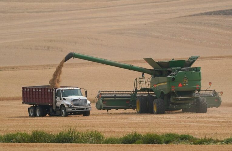 Severe drought devastates Washington state’s wheat crop
