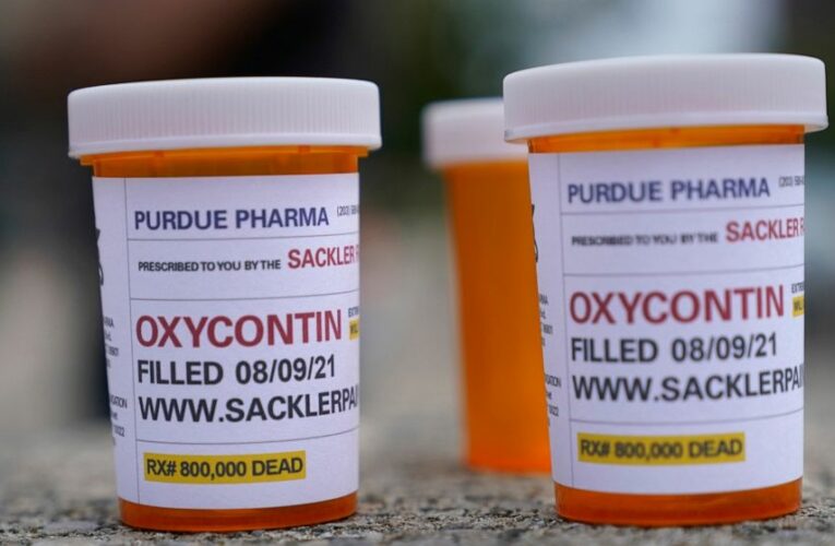 Ex-head of Purdue denies responsibility for opioid crisis