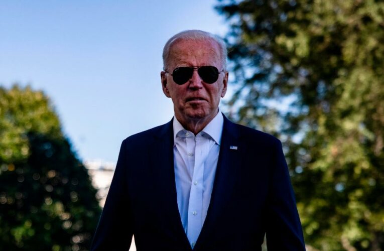 Opinion: Biden could be tempted to reach for the platinum coin