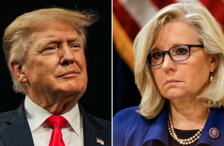 Four GOP lawmakers, including Rep. Liz Cheney, who voted to impeach or convict the former President have outraised candidates he has endorsed to oust them