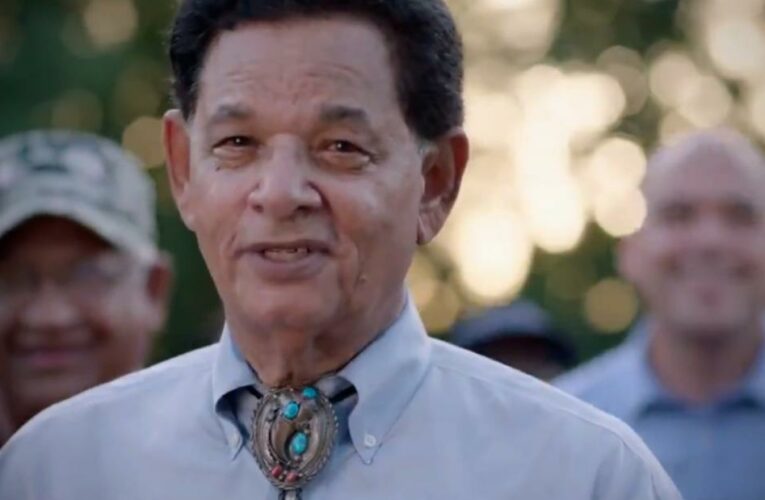 Congressional candidate’s campaign ad goes viral