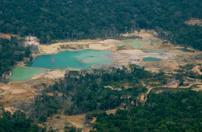 Aerial footage shows damage in Amazon rainforest