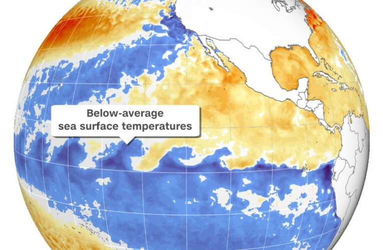 The cooling of sea surface temperatures in the Pacific will affect winter weather, drought conditions and the remainder of hurricane season