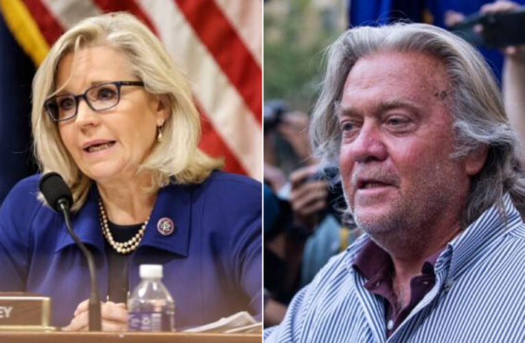 Liz Cheney accuses Bannon of planning capitol insurrection