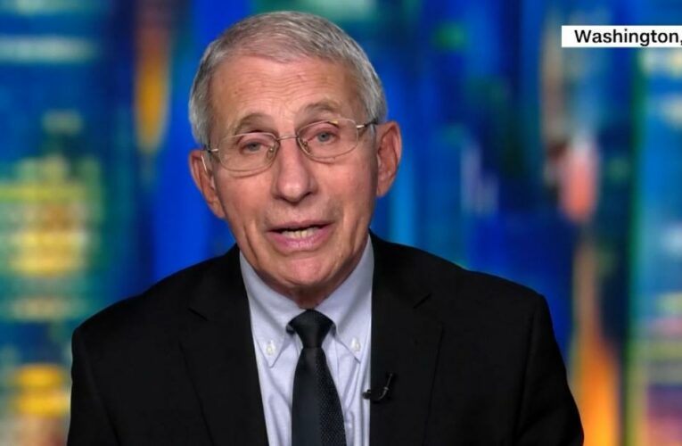 Fauci: ‘It would be a good idea to vaccinate the children’