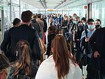 Hell at Heathrow AGAIN! Hundreds queue for up to FOUR hours at arrivals due to e-gates breaking down