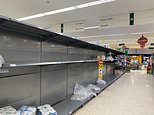 Millions of shoppers are unable to buy essential FOOD as one in three stock up for Christmas