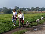 Brits make the most of unseasonable highs at the beach as temperatures soar