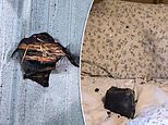 Sleeping woman avoids death by inches after meteorite crashes through roof of her home