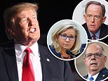 Trump reveals list of GOP enemies including McConnell, ‘psycho’ Liz Cheney, ‘stupid’ Pat Toomey