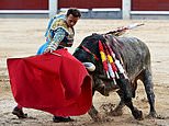 Bullfighting could be BANNED for under 16s, paving the way for the extinction of the sport in Spain