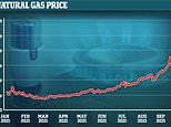 Energy bills could go up by £200 because of collapsed energy firms, boss of British Gas owner