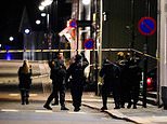 Five people confirmed dead and more injured by killer armed with a bow and arrows in Norway