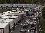 Holidaymakers queue for Channel Tunnel for more than SEVEN HOURS due to power supply issue