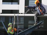 Animal rights activists climb Home Office and Defra building in London