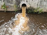 JOHN VIDAL: The rancid stench of this sewage scandal will be with MPs for years