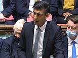 ‘Optimistic’ Sunak gets Budget firepower thanks to UK growth upgrade